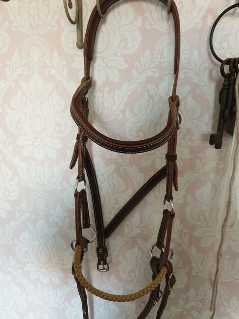 Hillbury Sidepull, Hillbury Sidepull  Sidepull , Bärbel , Bitless Bridles, Aurich