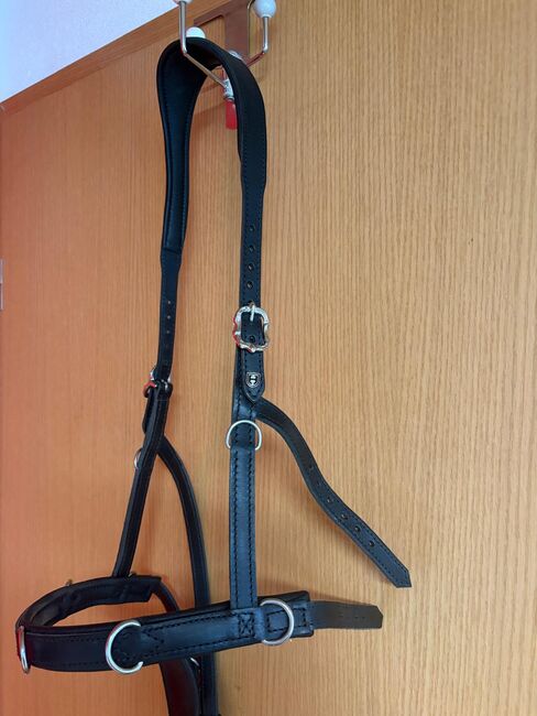 Hillbury Kappzaum Sidepull Galanto Gr.VB Barock, Hillbury Galanto, Petra, Groundwork, Krien