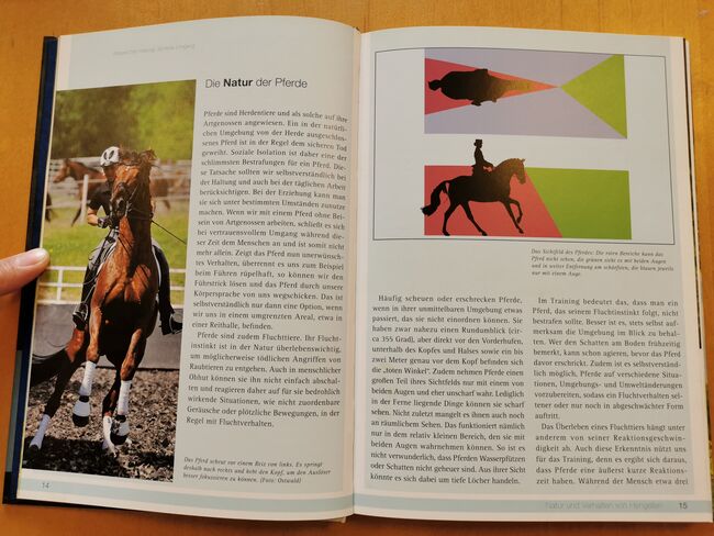 Hengste – Artgerechte Haltung, sicherer Umgang, cadmos verlag  Stefan Schneider, Mandy, Books, Camburg, Image 3