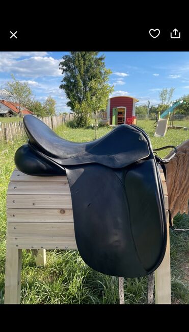 Hintermayer Dressursattel, Hintermayer  Spring Tree , Lena Eisenbarth, Dressage Saddle, St Wendel, Image 6