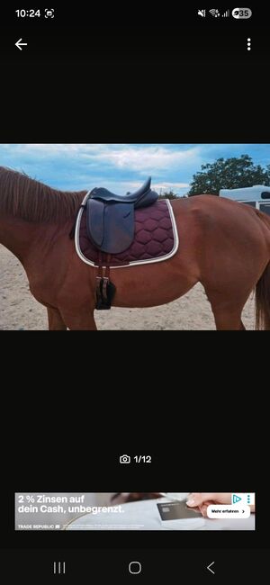 Hintermeyer Dressursattel anatomic, Hintermeyer Anatomic Dressage, Jasmin, Dressage Saddle, Staufen im Breisgau