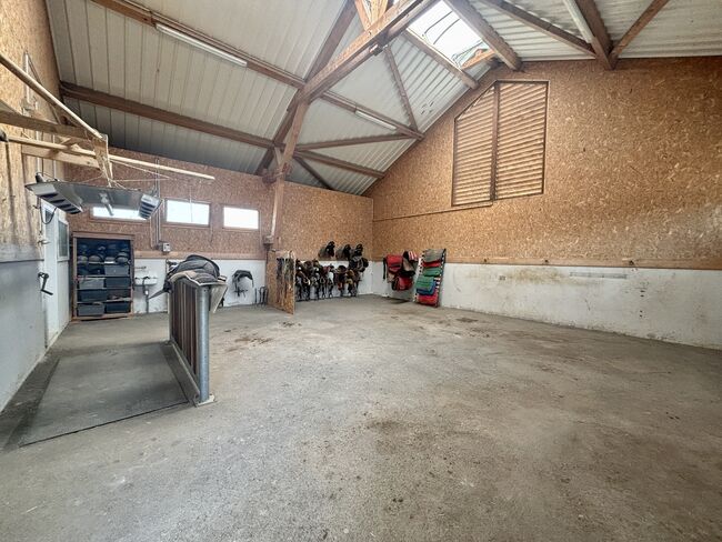 Historische Reitanlage im Elsass – Ihr exklusives Paradies für Pferdeliebhaber und Investoren, Enders und Partner Immobilien, Claire Findling (Enders und Partner Immobilien), Equestrian Properties, Val-de-Moder, Image 7