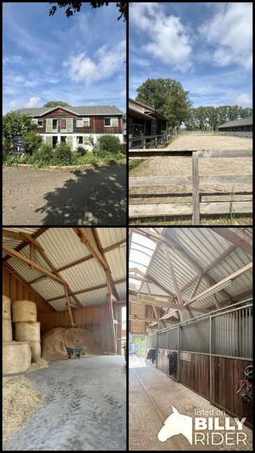 Historische Reitanlage im Elsass – Ihr exklusives Paradies für Pferdeliebhaber und Investoren, Enders und Partner Immobilien, Claire Findling (Enders und Partner Immobilien), Equestrian Properties, Val-de-Moder, Image 9