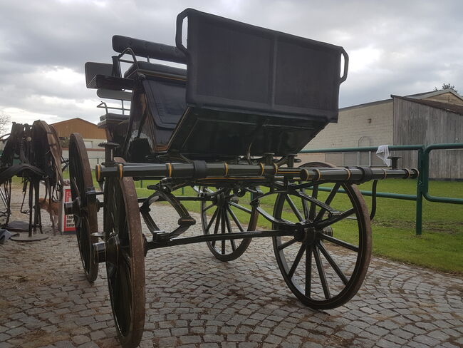 Historische Kutsche Jagdwagen, Selbstfahrer, Kutschenmanufaktur Weiser, Wien Ungarischer Jagdwagen, Selbstfahrer, Karl Jirak, Carriages, Margarethen am Moos, Image 3
