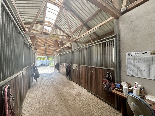 Historische Reitanlage im Elsass – Ihr exklusives Paradies für Pferdeliebhaber und Investoren, Enders und Partner Immobilien, Claire Findling (Enders und Partner Immobilien), Equestrian Properties, Val-de-Moder, Image 4