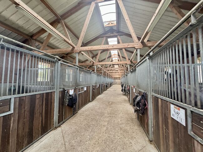 Historische Reitanlage im Elsass – Ihr exklusives Paradies für Pferdeliebhaber und Investoren, Enders und Partner Immobilien, Claire Findling (Enders und Partner Immobilien), Equestrian Properties, Val-de-Moder, Image 5