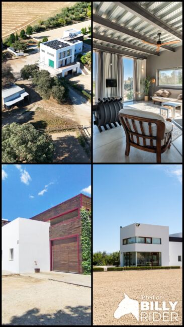 Spanien, Andalusien, Ronda - moderner Reitstall/ Trainingszentrum zu verkaufen!, Sabine Wesseln, Maras World of Horses (Maras World of Horses, Maras World Solutions S.L.), Nieruchomości jeździeckie, Ronda , Image 10