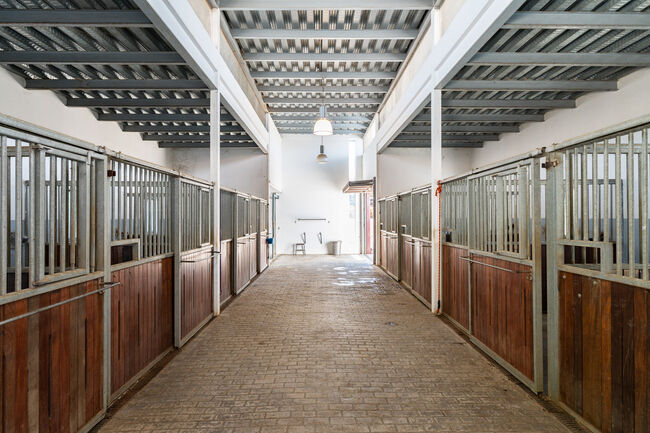 Spanien, Andalusien, Ronda - moderner Reitstall/ Trainingszentrum zu verkaufen!, Sabine Wesseln, Maras World of Horses (Maras World of Horses, Maras World Solutions S.L.), Nieruchomości jeździeckie, Ronda , Image 6