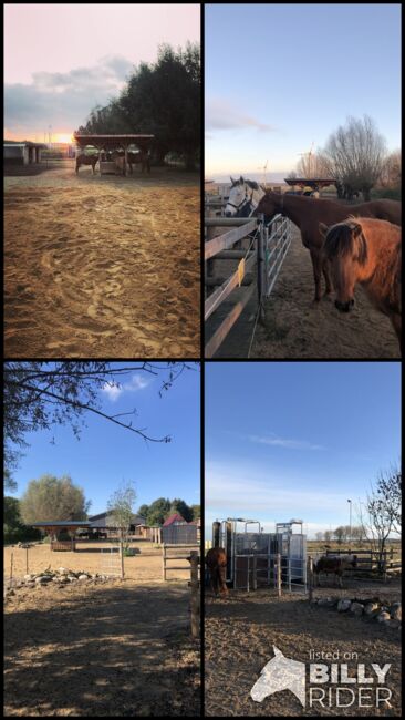 Hit-Aktivstall Ranch Vollpension, J.B.Silver Ranch , Horse Stables, Barlt , Image 18