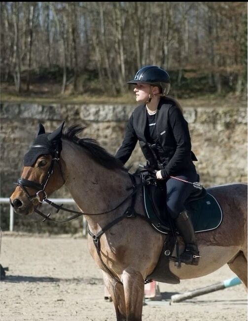 Hit Air Airbag Reitweste Sturzweste Sicherheitsweste Airbagweste Protektor Weste Springweste, Hit Air, Ringmichi, Safety Vests & Back Protectors, Weilerswist