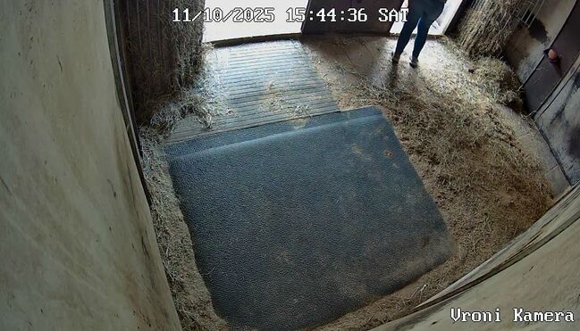 Hit Pferdebett 180x240cm XL, Hit Pferdebett, Marie, Horse & Stable Mats, Kolbermoor