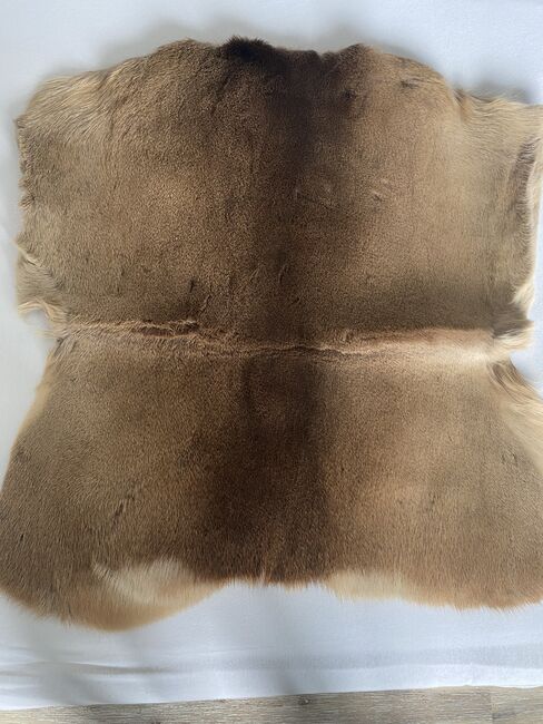 Rehfell zu verschenken, Renate , Other Pads, Doppleschwand