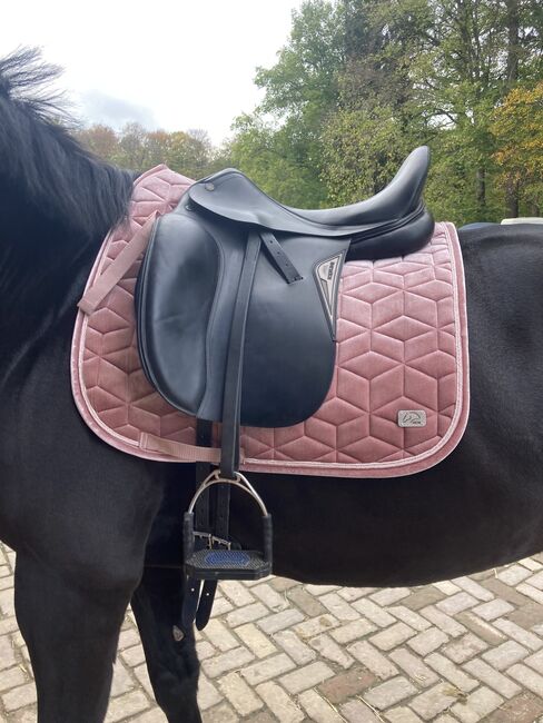 HKM Dressurschabracke Rosa, HKM  Mellow Velbet , Maya , Dressage Pads, Aachen