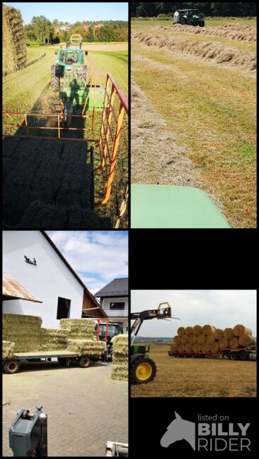 Heu Hochdruckballen Rundballen Stroh, Familie Schneider Hochdruck/Rundballen , Qualitätsheu Schneider, Hay & Straw, Wetter, Image 9