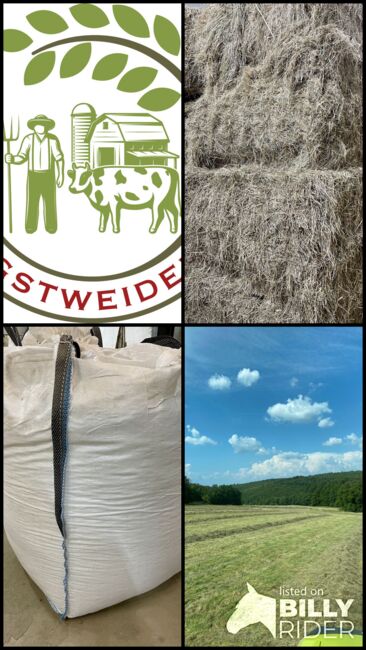 Hochwertige Heuballen zu verkaufen, Pfingstweidenhof, Stefan vom Pfingstweidenhof-Team (Pfingstweidenhof), Hay & Straw, Nidderau, Image 6