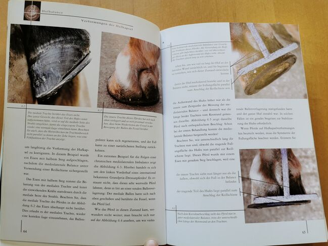 Hufbalance – Schlüssel zu Gesundheit und Leistung. Die Wirkung des korrekt gestellten Hufes, cadmos verlag  Gail Williams, Mandy, Books, Camburg, Image 6