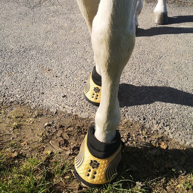 Hufschuhe neues model in gr 6, Easycare Easy Boot New Trail , Alex, Hoof Boots & Therapy Boots, Sankt augustin , Image 5
