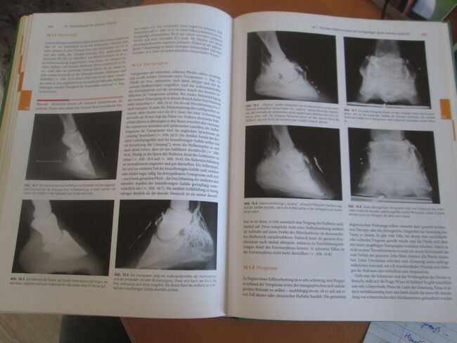 Hufkrankheiten Diagnostik - Therapie - orthopädischer Beschlag, Urban & Fischer Elsevier, Mandy, Books, Camburg, Image 3