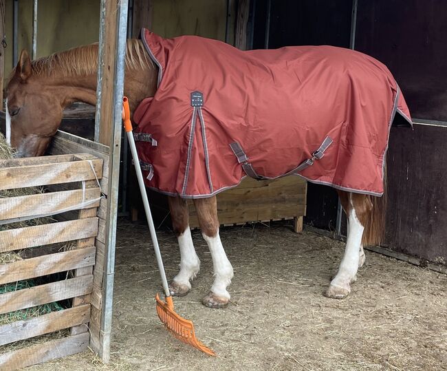 Highneck Outdoordecke mit Fleeceinnenfutter 0 g von THERMO MASTER, THERMO MASTER Jesco II, Linda, Horse Blankets, Sheets & Coolers, Berg bei Neumarkt