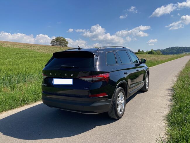Topp-Zugfahrzeug, Skoda Kodiaq Ambition TDI SCR 4x4, Roland, Horse Trailers, Tscheppach, Image 4