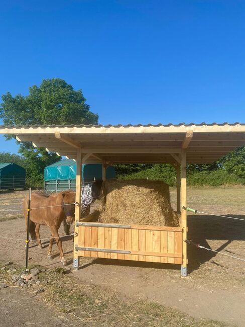 Heuraufe für Pferde und Ponys, Timbermühle , Henrik Murjahn  (Timbermühle Holzarbeiten und Design ), Hay Nets, Bags & Rags, Sandesneben , Image 9