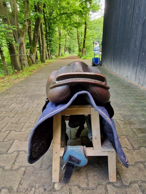 Höpfner springsattel 17 zoll mittlere kammer braun, Höpfner Springsattel , K. Werner, Jumping Saddle, Westerwalsede, Image 4