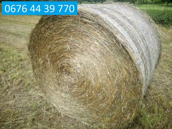 Heulage - Gärheu - Silage, Hannes T., Hay & Straw, Mühldorf