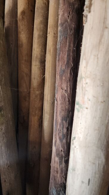 Holzpfähle, Jana, Weidezaunzubehör, Nideggen 