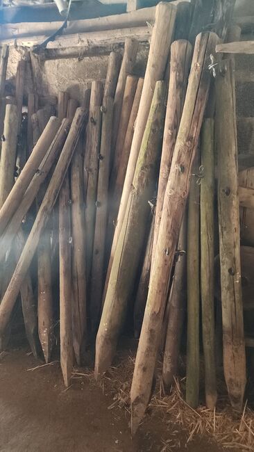 Holzpfähle, Jana, Weidezaunzubehör, Nideggen , Abbildung 4