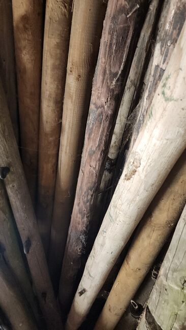 Holzpfähle, Jana, Weidezaunzubehör, Nideggen , Abbildung 2