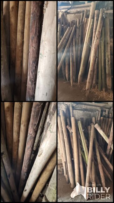 Holzpfähle, Jana, Weidezaunzubehör, Nideggen , Abbildung 5