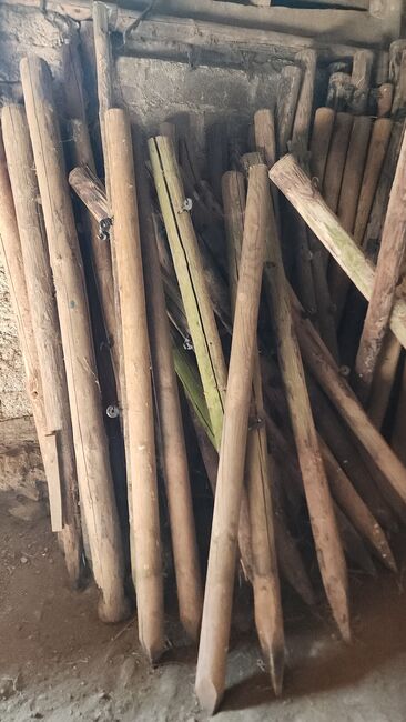 Holzpfähle, Jana, Weidezaunzubehör, Nideggen , Abbildung 3