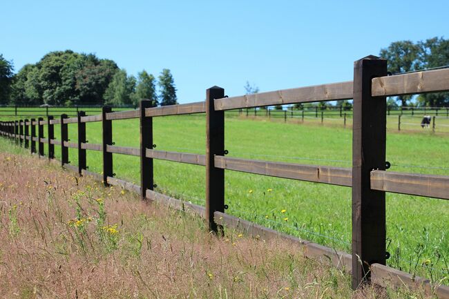 Holzzaun | Weidezaun | Gartenzaun | Zaun Holz, Rutjes Pferdenboxen und Zäume, Riding Arena, Goor