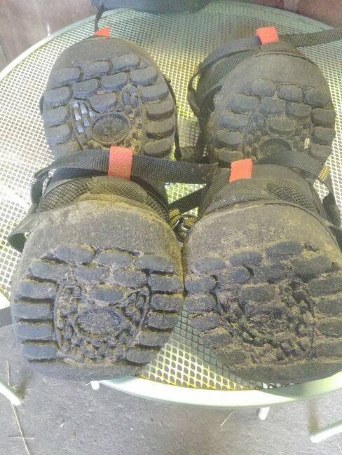 Hufschuhe Equine Fusion Gr.13, Equine Fusion All Terrain Ultra, Fiedler, Hoof Boots & Therapy Boots, Schlüsselfeld, Image 5