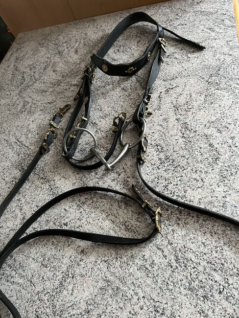 Trense Zaumzeug Barock, Barock, Uli, Bridles & Headstalls, Velden