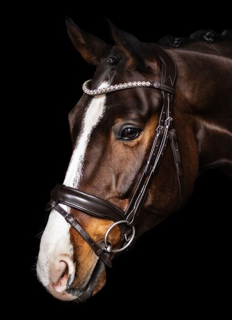 Bridlery Trense Charm braun, Bridlery Cham, Sophia Cornelsen, Bridles & Headstalls, Neudrossenfeld