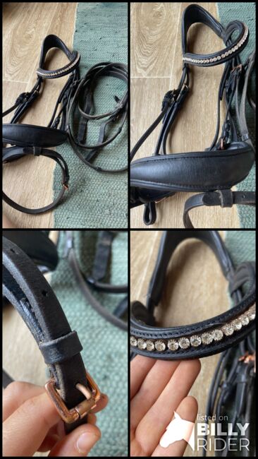 Zaumzeug Englisch kombiniert, Stephanie , Bridles & Headstalls, Graz , Image 6