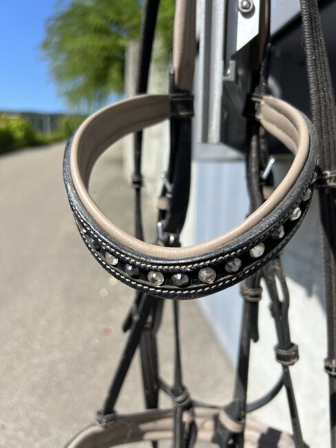 Zaum mit Bling bling, Regula Renggli , Bridles & Headstalls, Eglisau, Image 5