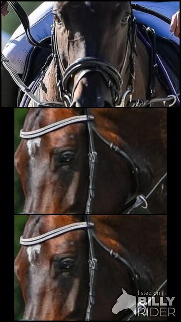 Zaum mit Glitzerstirnband, Tamara Schmid, Bridles & Headstalls, Niederurnen, Image 4