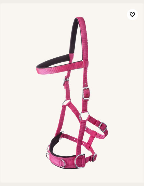 Kapzaum Pink, Chiara , Halters, Buseck