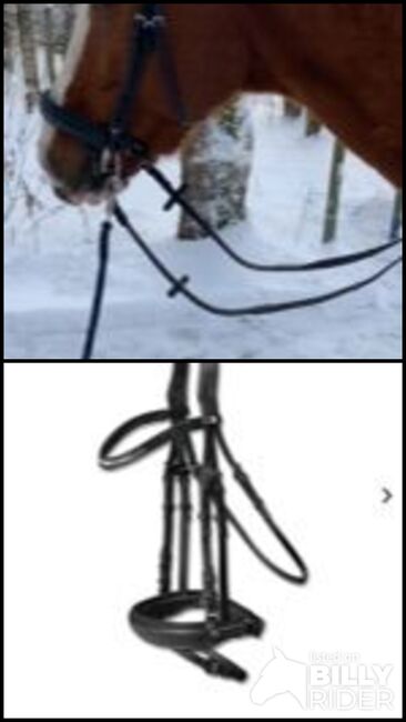 trensenzaum x-line warmblut, kavalio , aileen, Bridles & Headstalls, cranzahl, Image 3