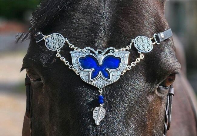 Kopfschmuck/Stirnriemen WB, DIY Kopfschmuck, Kirsten Reiser, Browbands, Weil der Stadt, Image 5