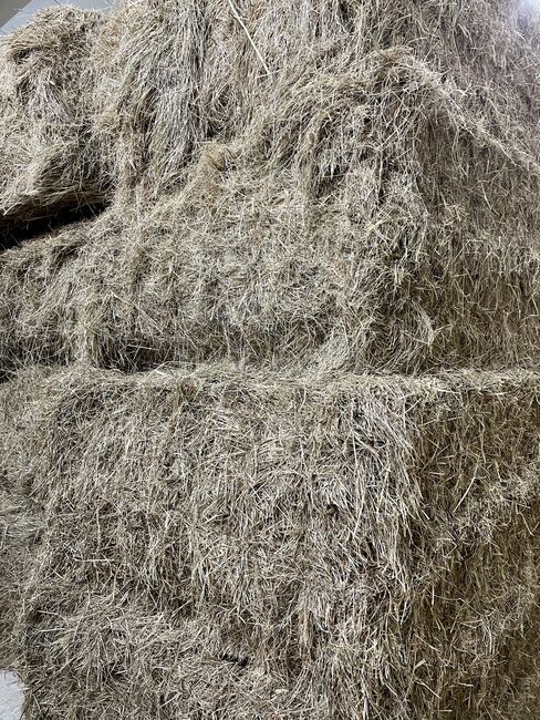 Hochwertige Heuballen zu verkaufen, Pfingstweidenhof, Stefan vom Pfingstweidenhof-Team (Pfingstweidenhof), Hay & Straw, Nidderau, Image 5