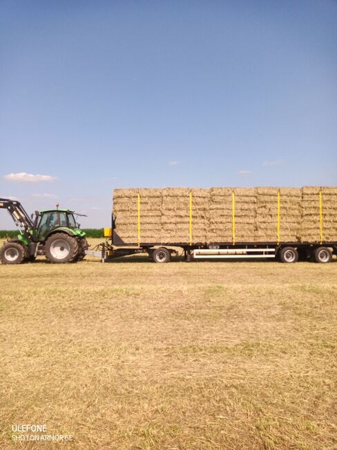 Heu, Heuballen, Quaderballen, Heuquader 1 Schnitt Pferd Pferdeheu, Timo Kemmer, Hay & Straw, Hessenaue, Image 4