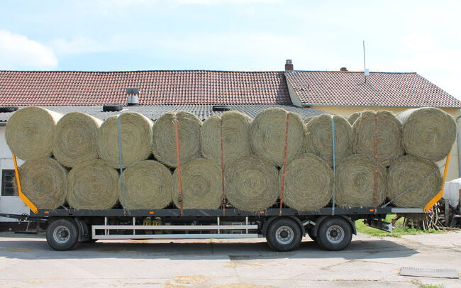 Heu Rundballen Heuballen 1 Schnitt Pferd Pferdeheu Heurundballen, Timo Kemmer, Hay & Straw, Hessenaue, Image 3