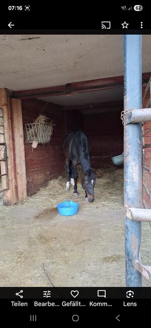Heuraufe wenig gebraucht, Kerbl, Gerlinde , Tack Room & Stable Supplies, Königsbrunn 