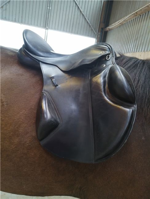 Springsattel Kieffer Norbert Koof, Kieffer  Norbert Koof , Krissy, Jumping Saddle, Hohenwestedt, Image 5