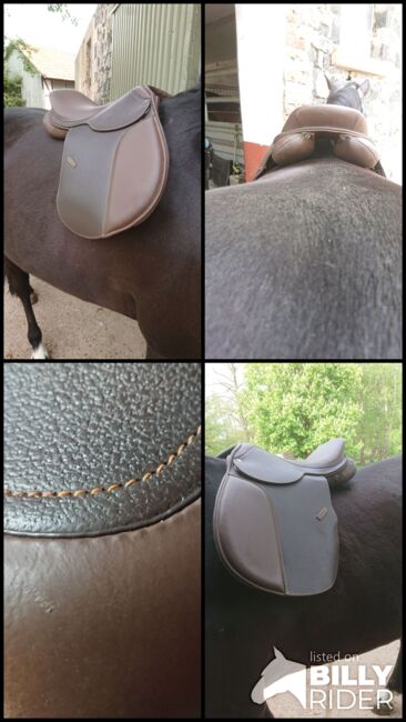 Springsattel Braun, Carina Welker , Jumping Saddle, Alsfeld , Image 9