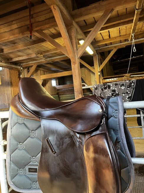 Springsattel Euroriding 18 Zoll braun, Euroriding Anatomic spring tree, Amberger Verena, Jumping Saddle, Viechtach 