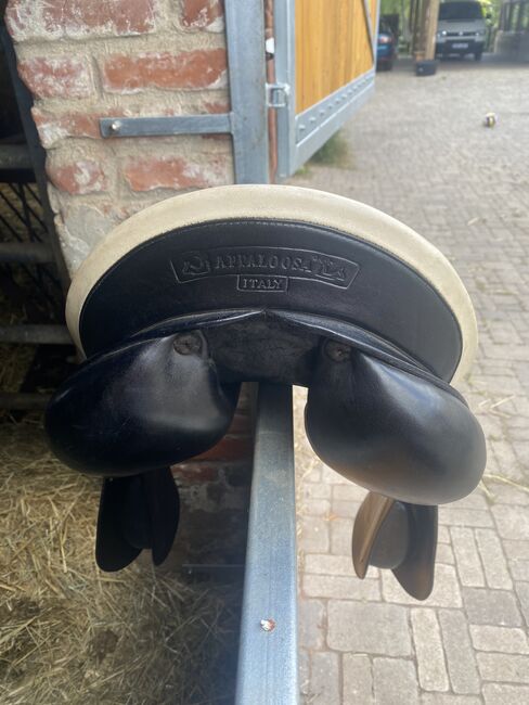 Springsattel Prestige Venezia 17 Zoll, Prestige Venezia, Emma Ohst, Jumping Saddle, Paplitz, Image 3